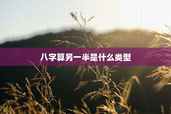 八字算另一半是什么类型