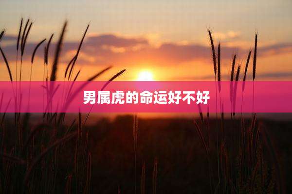 男属虎的命运好不好