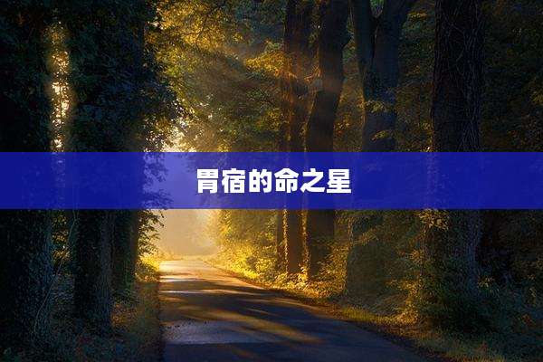 胃宿的命之星