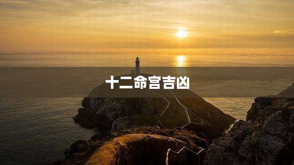 十二命宫吉凶