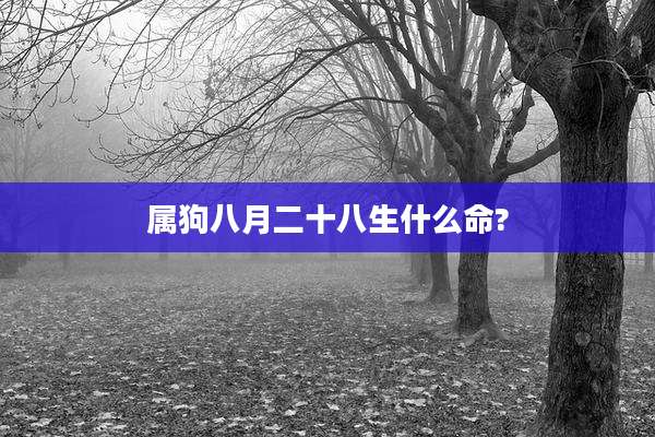 属狗八月二十八生什么命?