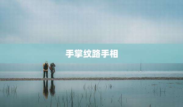 手掌纹路手相