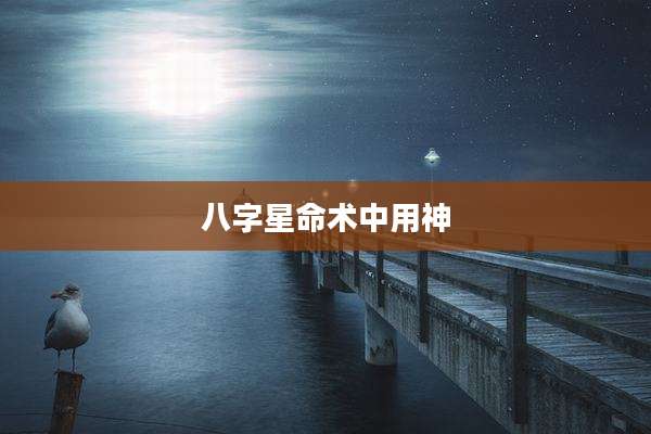 八字星命术中用神