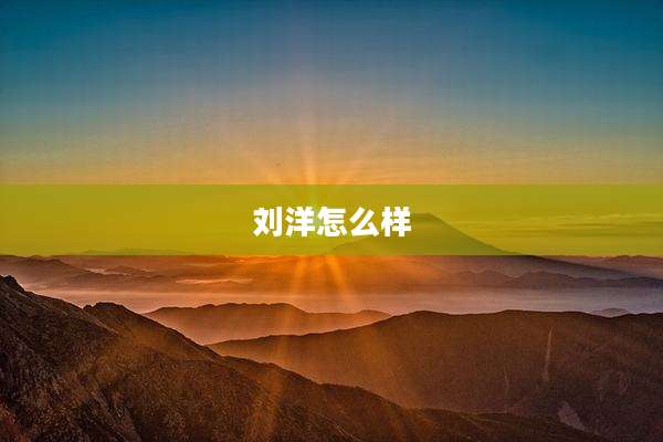 刘洋怎么样