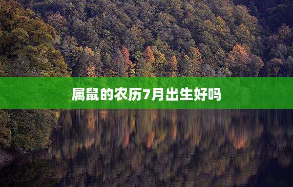 属鼠的农历7月出生好吗