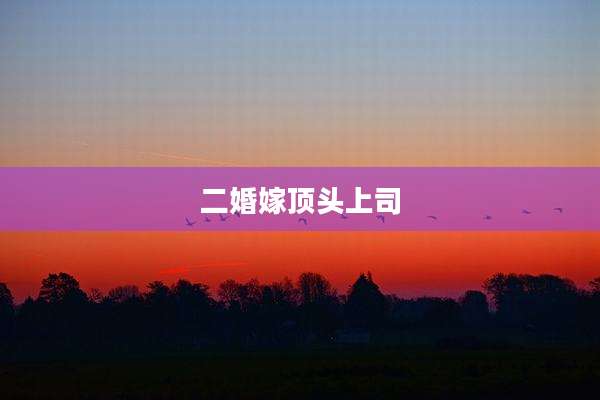 二婚嫁顶头上司