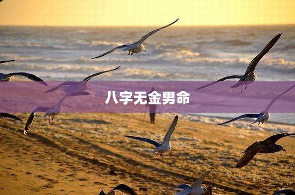 八字无金男命