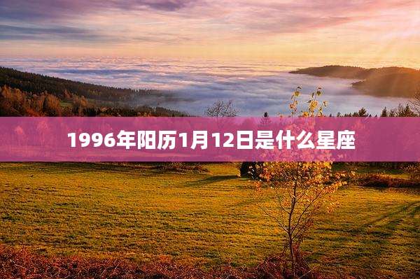 1996年阳历1月12日是什么星座