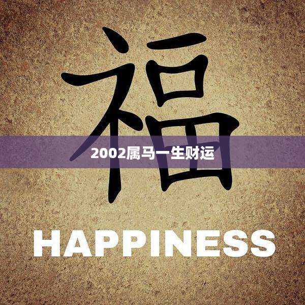 2002属马一生财运