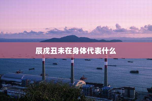 辰戌丑未在身体代表什么