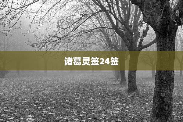 诸葛灵签24签