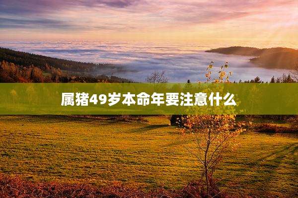 属猪49岁本命年要注意什么