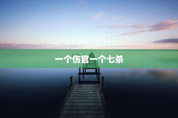 一个伤官一个七杀