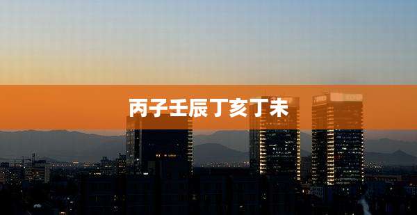 丙子壬辰丁亥丁未