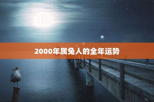 2000年属兔人的全年运势