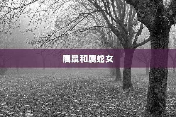 属鼠和属蛇女