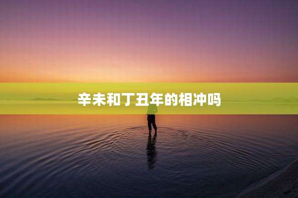 辛未和丁丑年的相冲吗