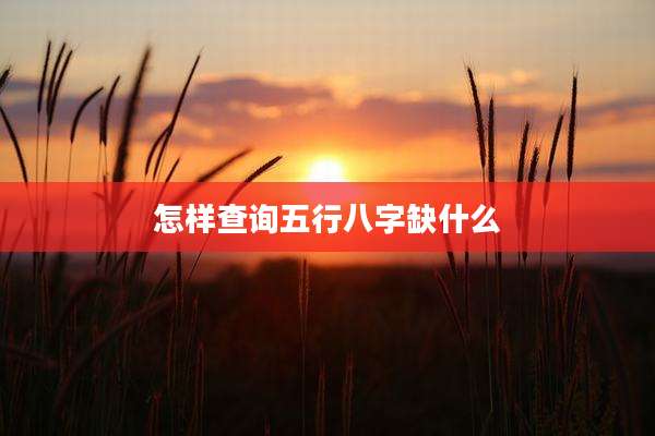 怎样查询五行八字缺什么