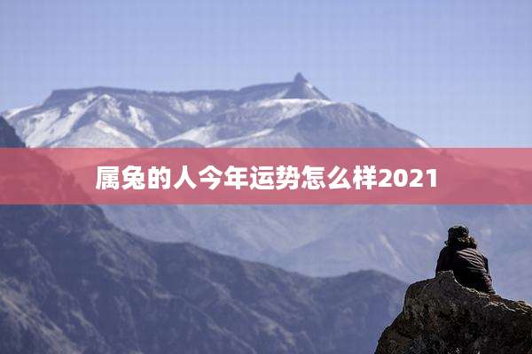 属兔的人今年运势怎么样2021