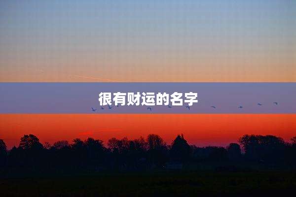 很有财运的名字
