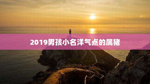 2019男孩小名洋气点的属猪