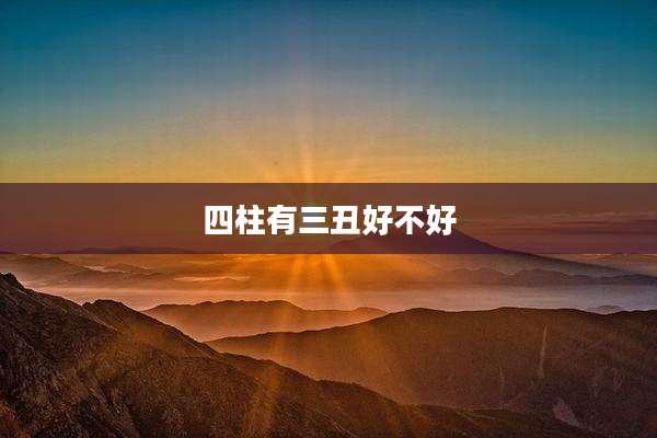 四柱有三丑好不好