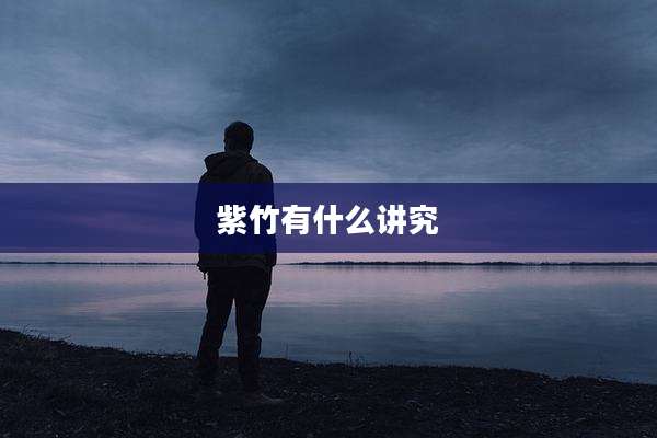 紫竹有什么讲究