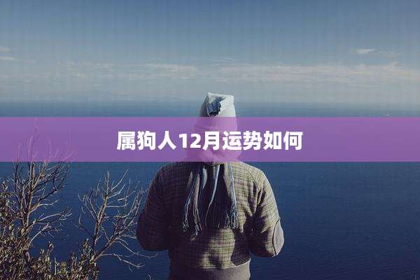 属狗人12月运势如何