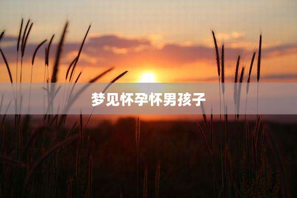 梦见怀孕怀男孩子