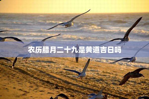 农历腊月二十九是黄道吉日吗