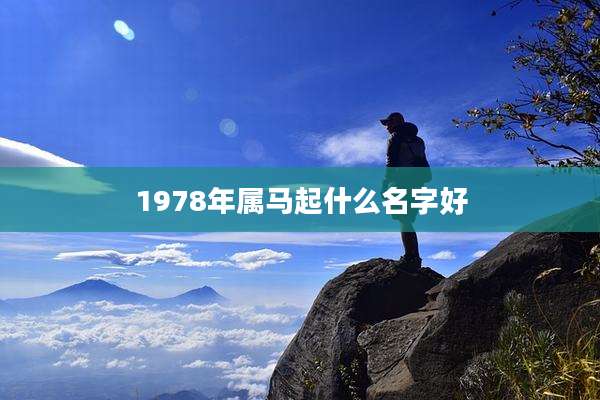 1978年属马起什么名字好