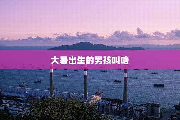 大暑出生的男孩叫啥