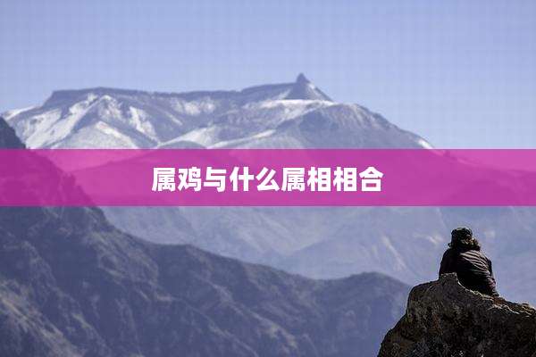 属鸡与什么属相相合