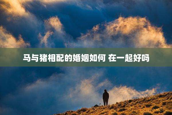 马与猪相配的婚姻如何 在一起好吗