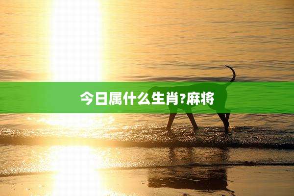 今日属什么生肖?麻将