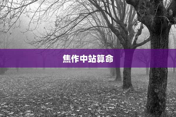 焦作中站算命