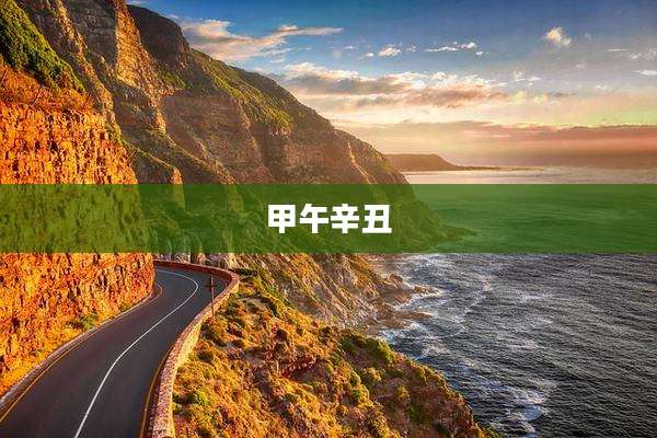 甲午辛丑