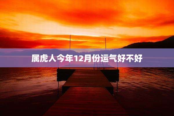 属虎人今年12月份运气好不好