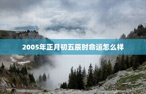 2005年正月初五辰时命运怎么样