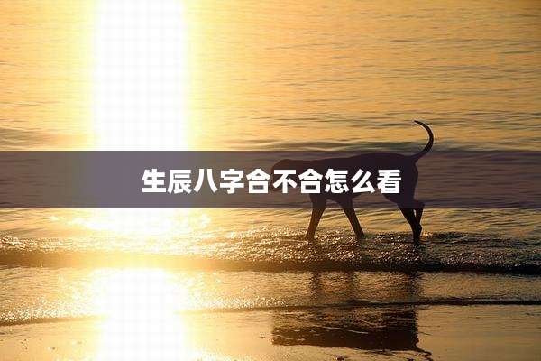 生辰八字合不合怎么看