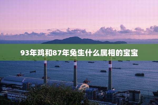 93年鸡和87年兔生什么属相的宝宝