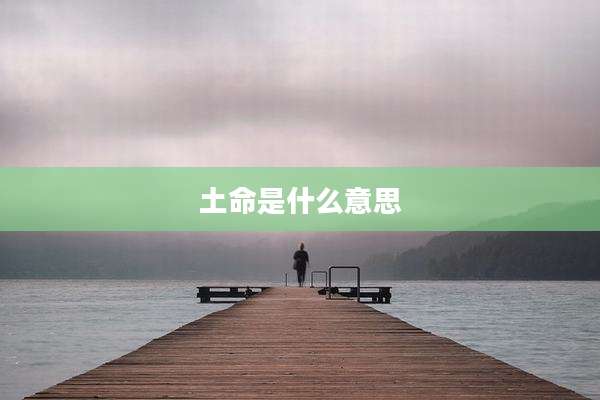土命是什么意思