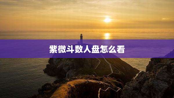 紫微斗数人盘怎么看