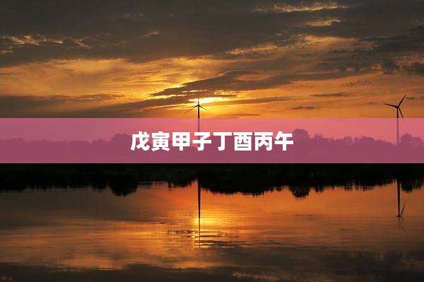 戊寅甲子丁酉丙午