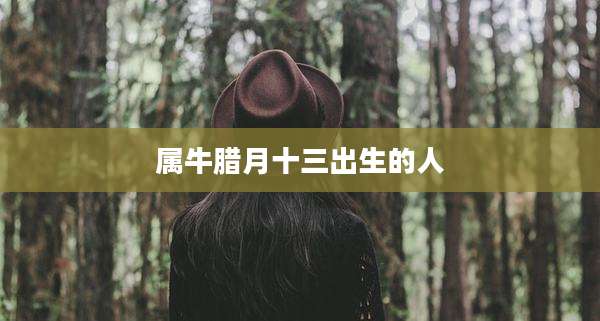 属牛腊月十三出生的人