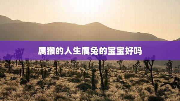 属猴的人生属兔的宝宝好吗