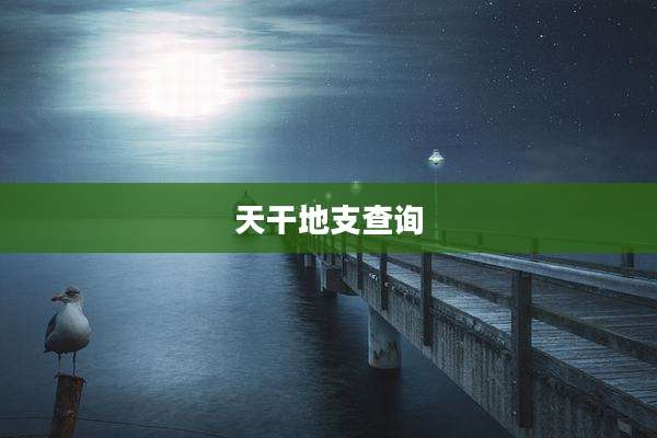 天干地支查询
