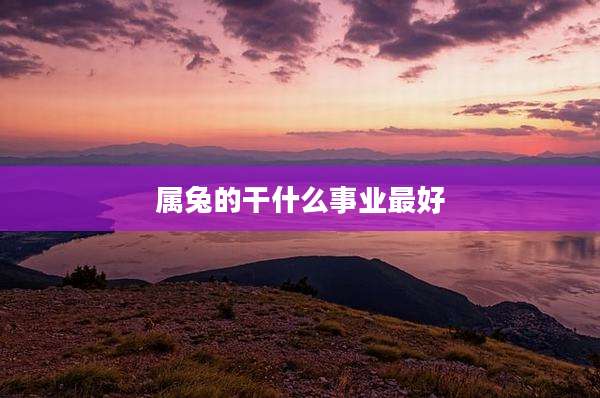 属兔的干什么事业最好