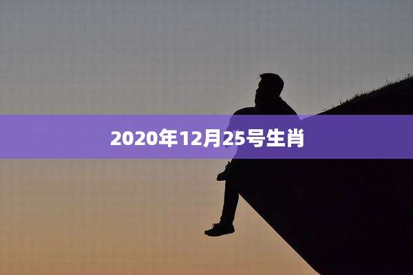 2020年12月25号生肖