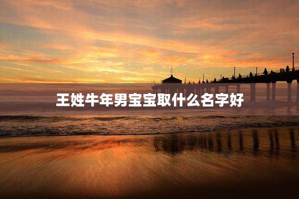 王姓牛年男宝宝取什么名字好